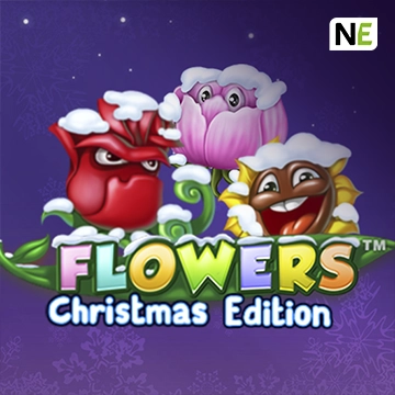 NetEnt : Flowers Christmas Edition - SPINBET123