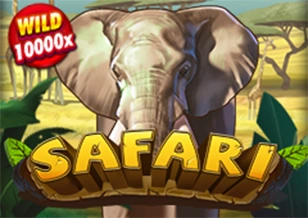 AFB : Safari - SPINBET123